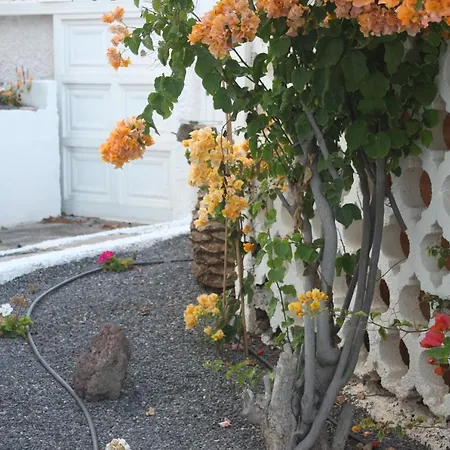Con Piscina Privada De 2 Dormitorios, Terrazas, Jardin Y Barbacoa - Casa Momo Casa vacanze